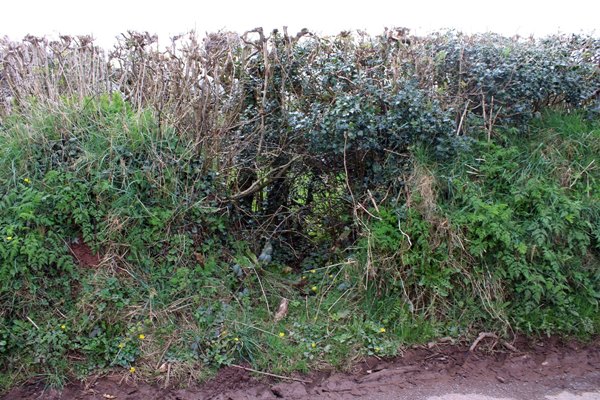Start of footpath