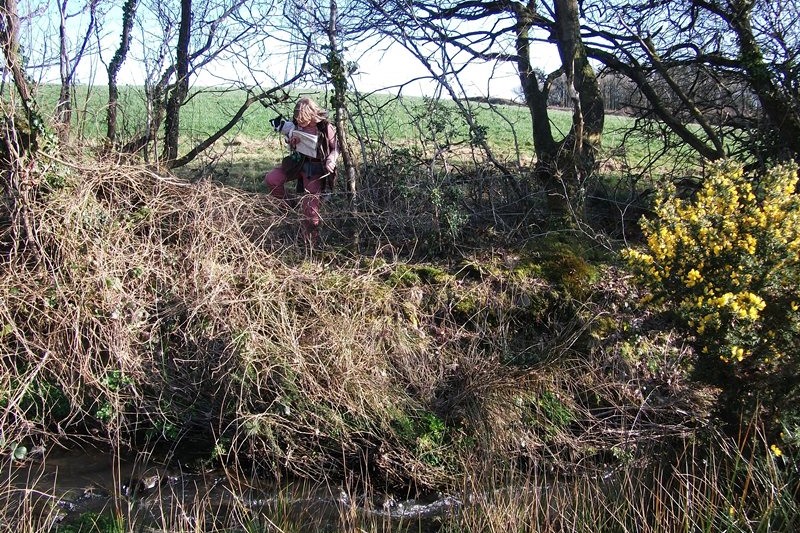 footpath obstruction