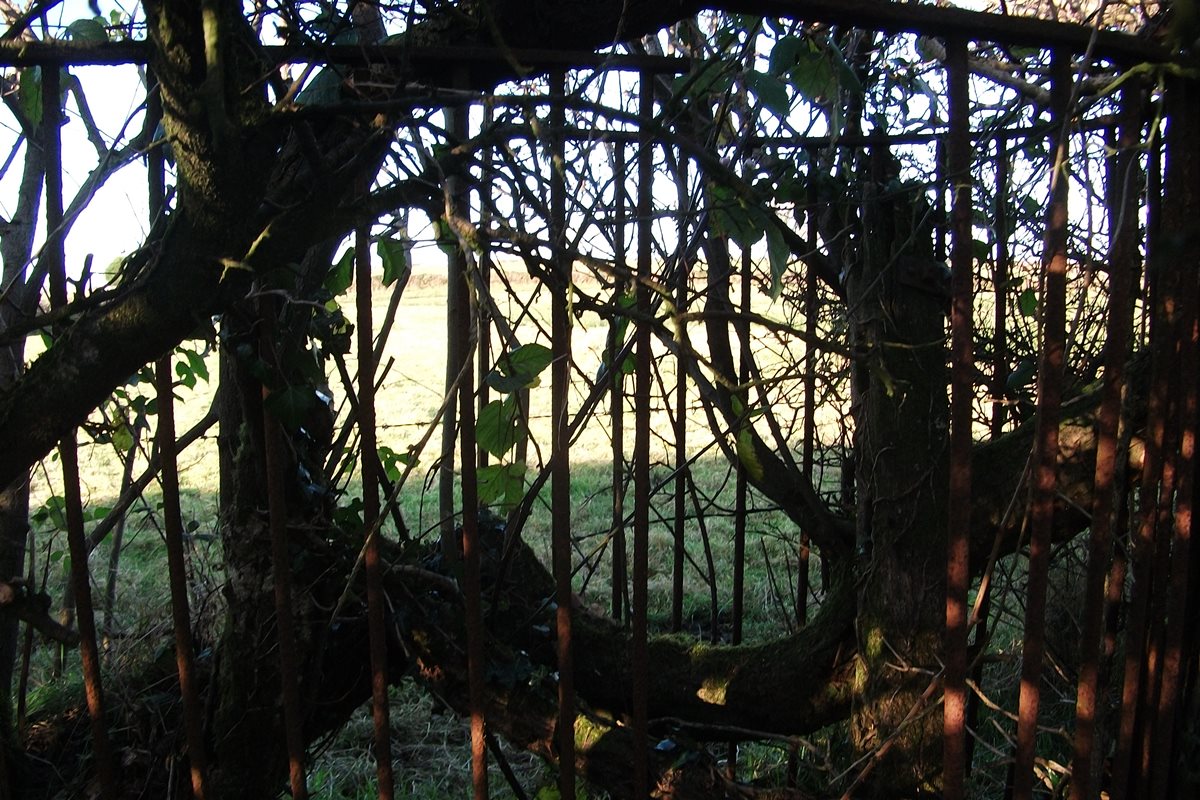 kissing gate
