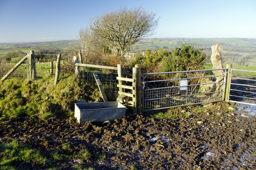 Llanllwni footpath