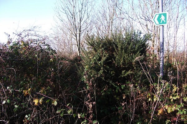 SWTRA footpath