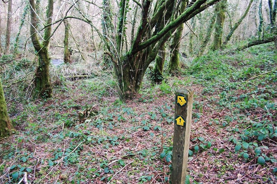 path junction