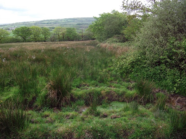 footpath