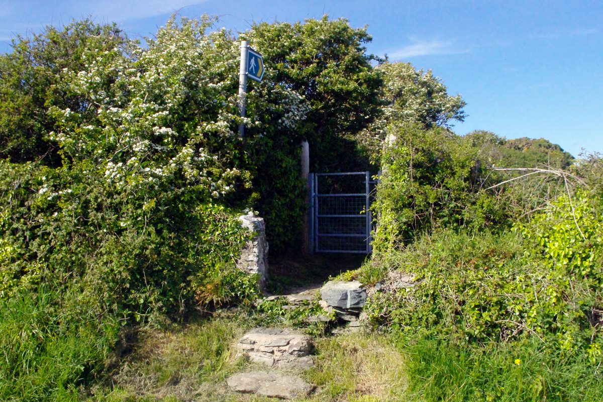 Anglesey footpath