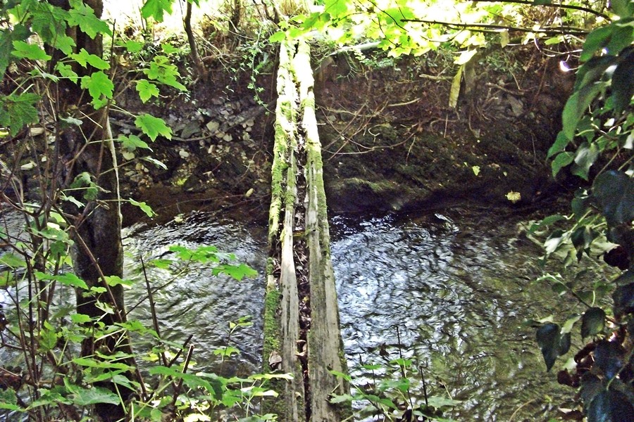 sleeper bridge