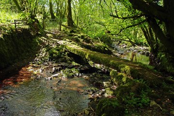 Footbridge in Pembrokeshire