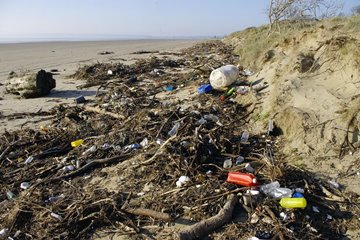 Beach litter at Pembrey