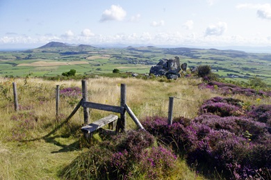 Llyn peninsula