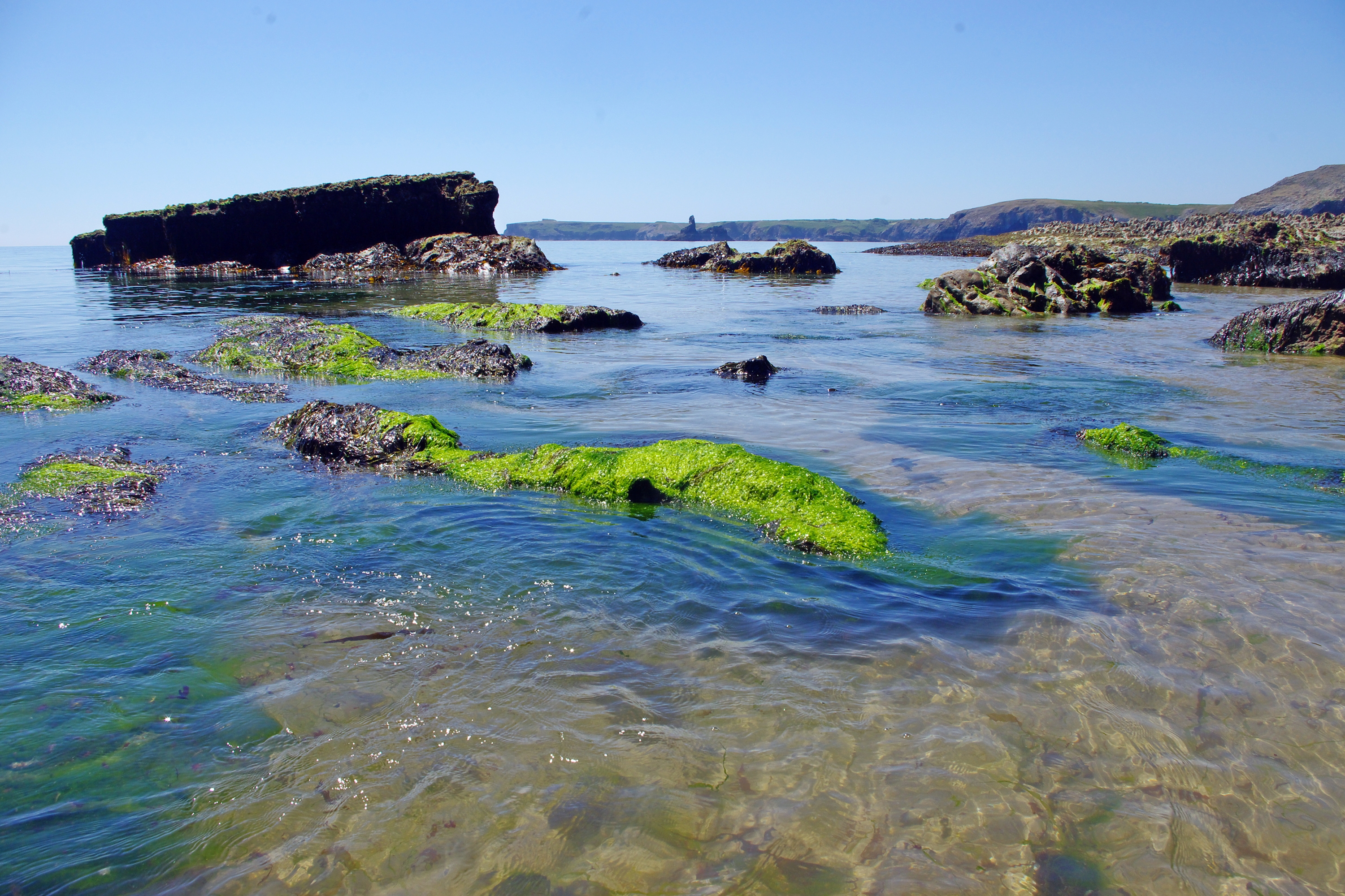 Seascape