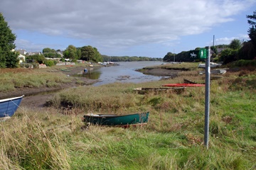 Cleddau Rivers