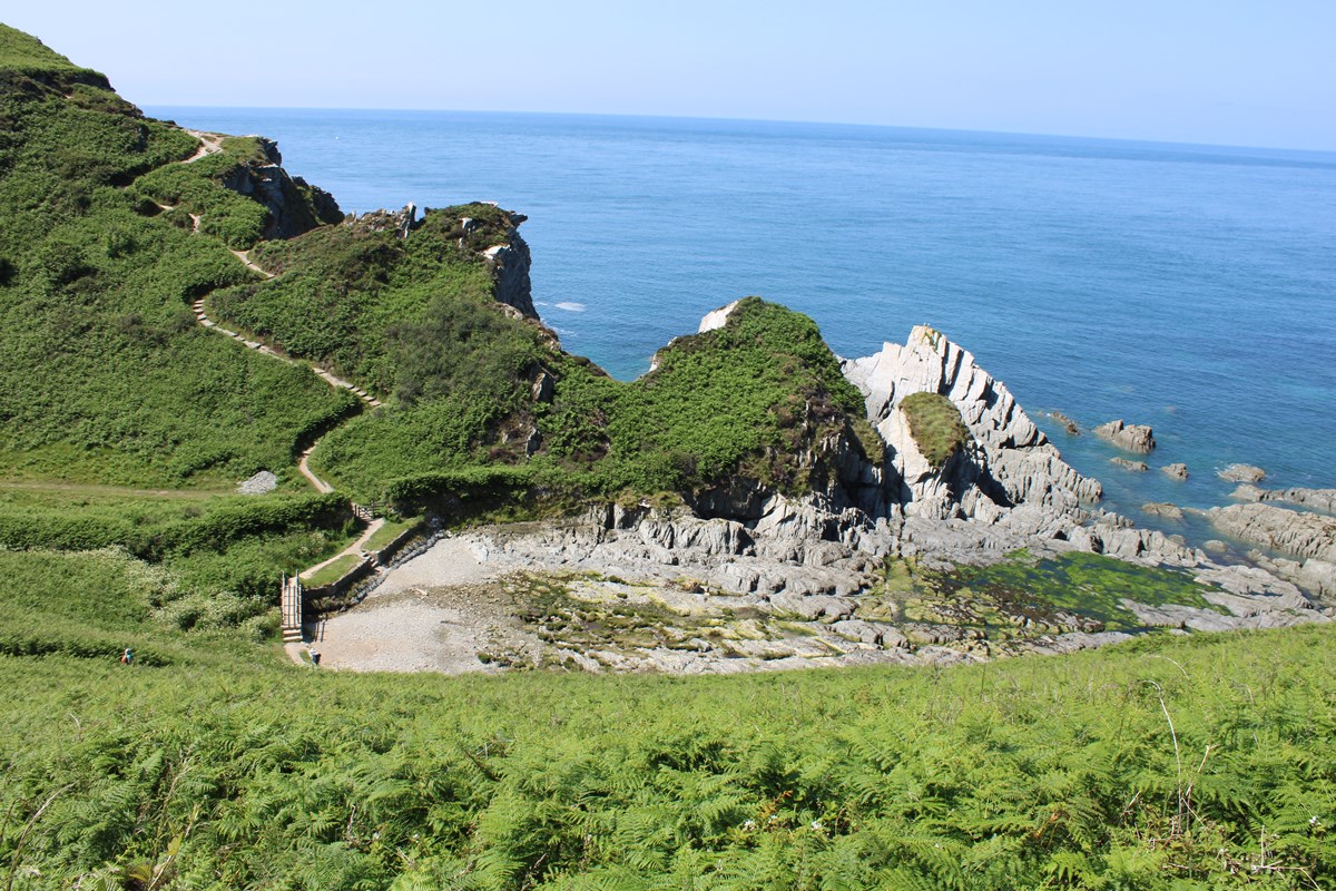 From the coastal path
