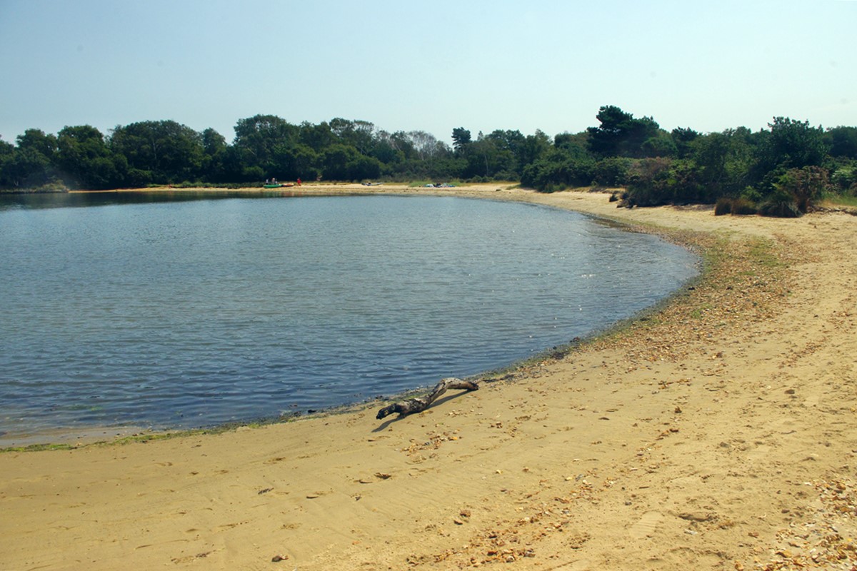 Looking south