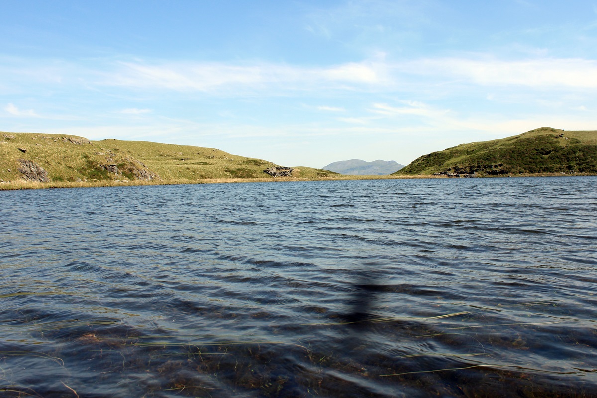 Swimmer's eye view
