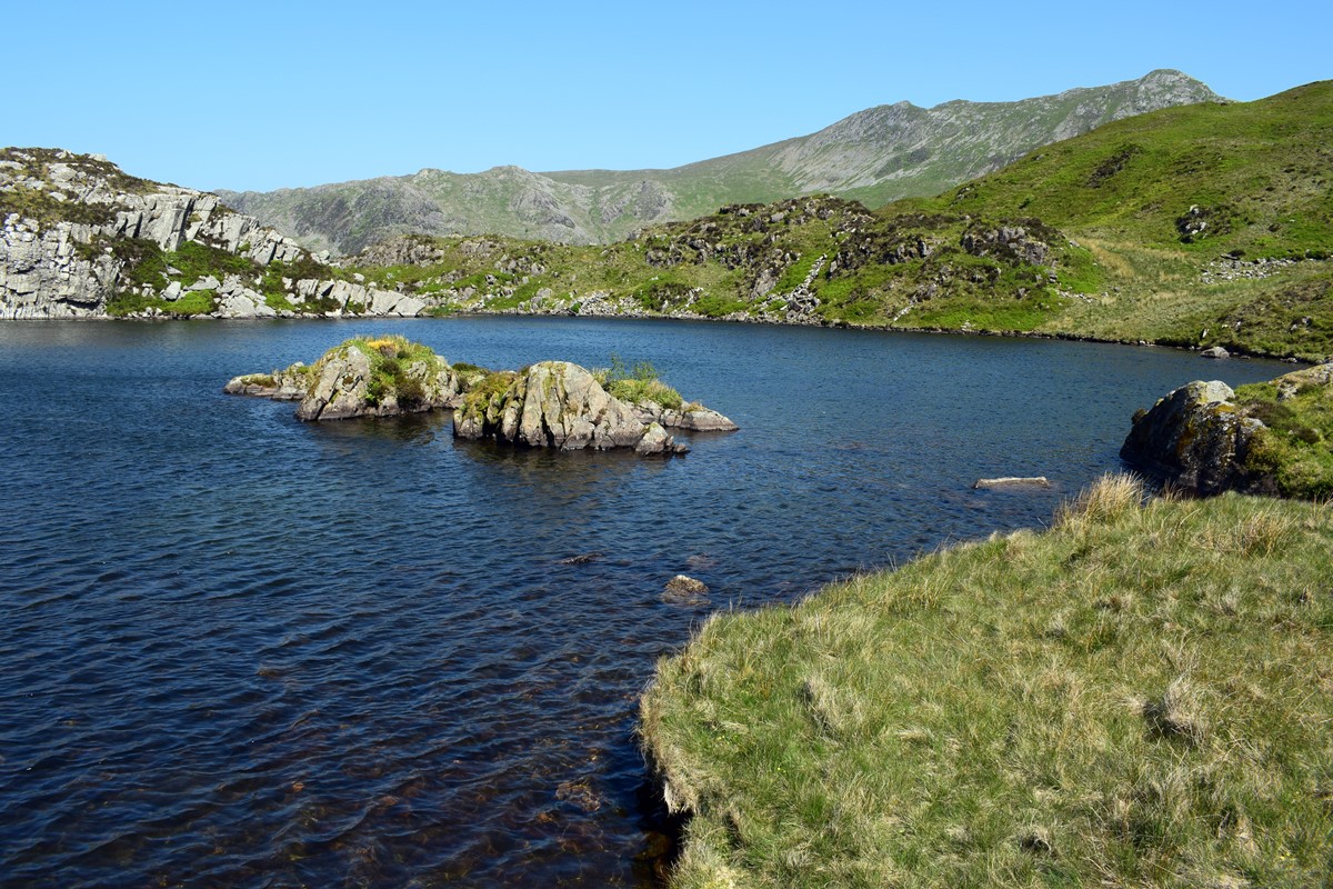 Towards Cnicht (in background)