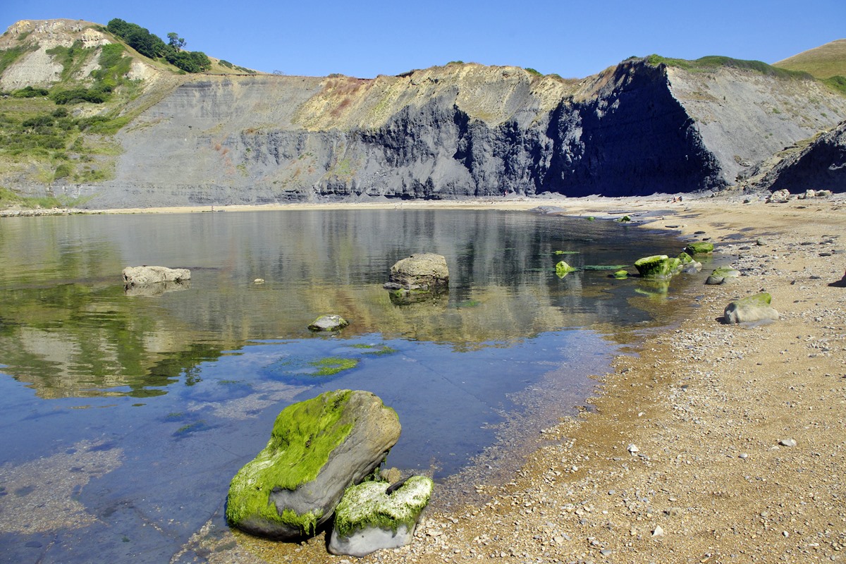 Chapman's Pool