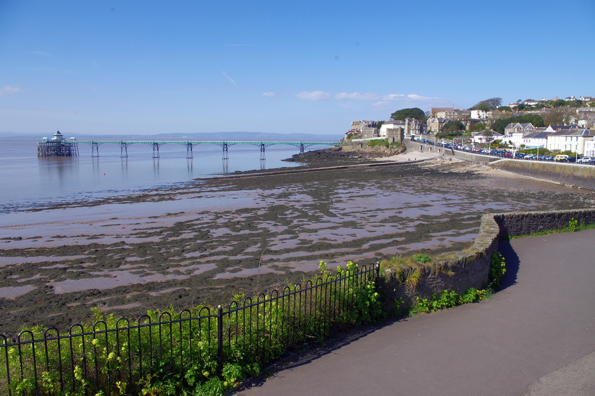 Clevedon Beach