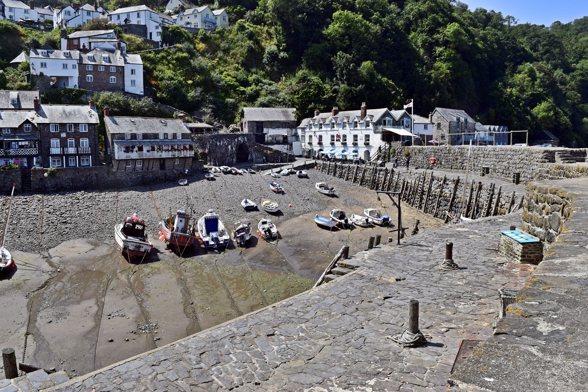 The harbour