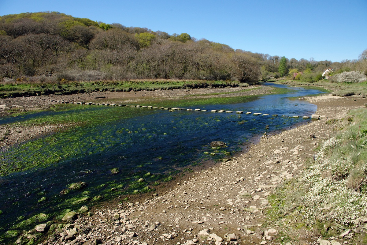 The stepping stones across the river