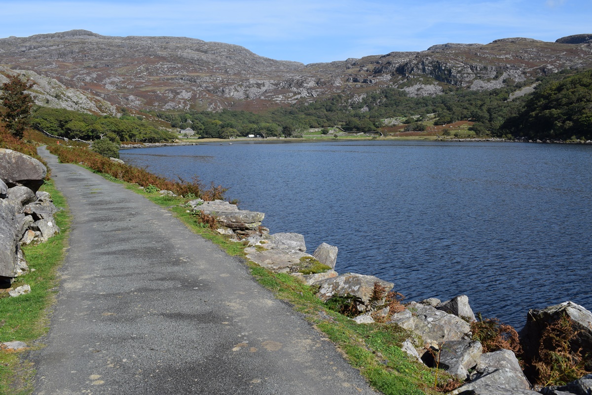 Llyn Cwm Bychan