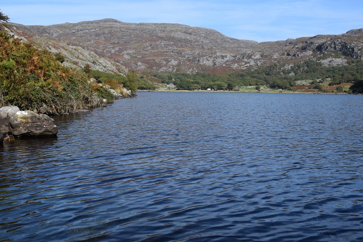 Llyn Cwm Bychan