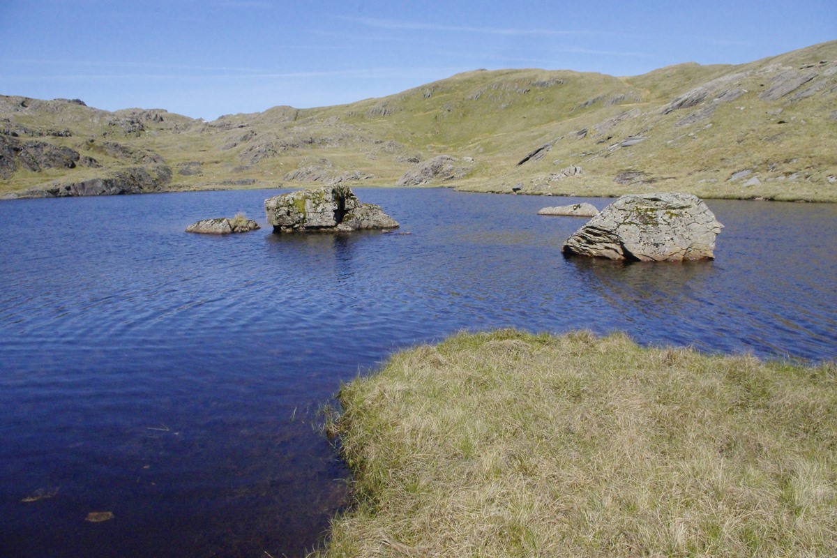 Llyn Cwm corsiog 