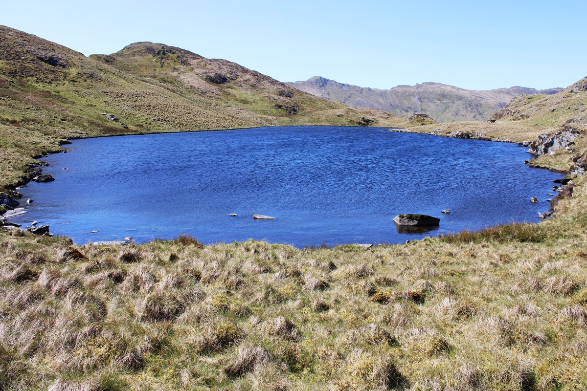 Llyn Dyrnogydd