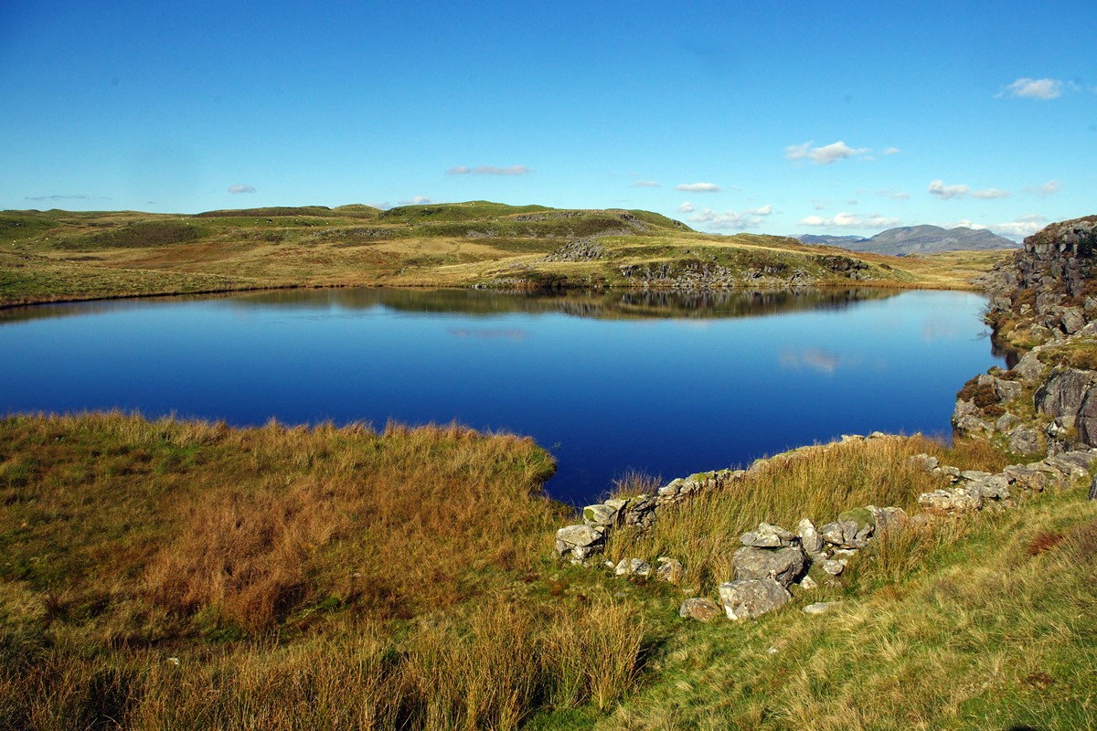 Llyn Eiddew bach