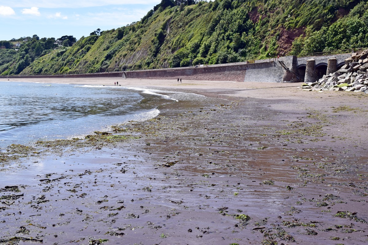 Holcombe Beach