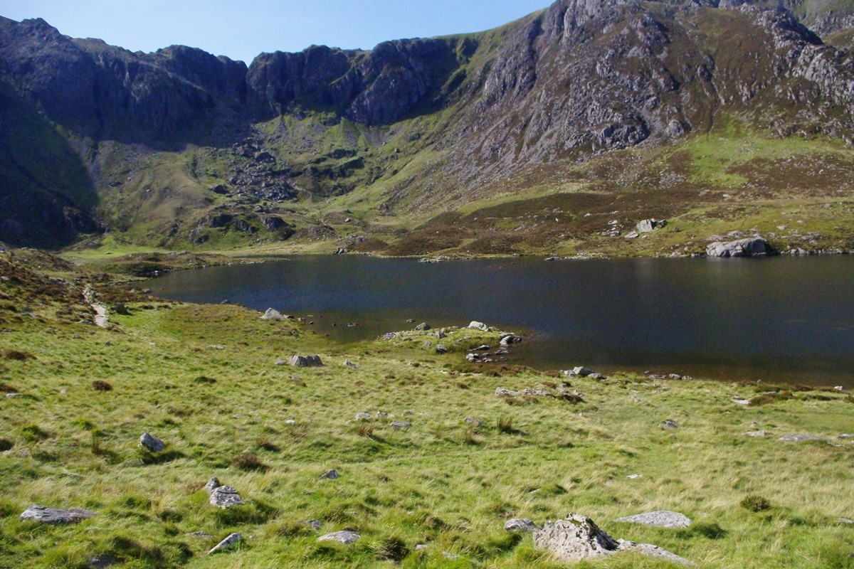 Lyn Idwal