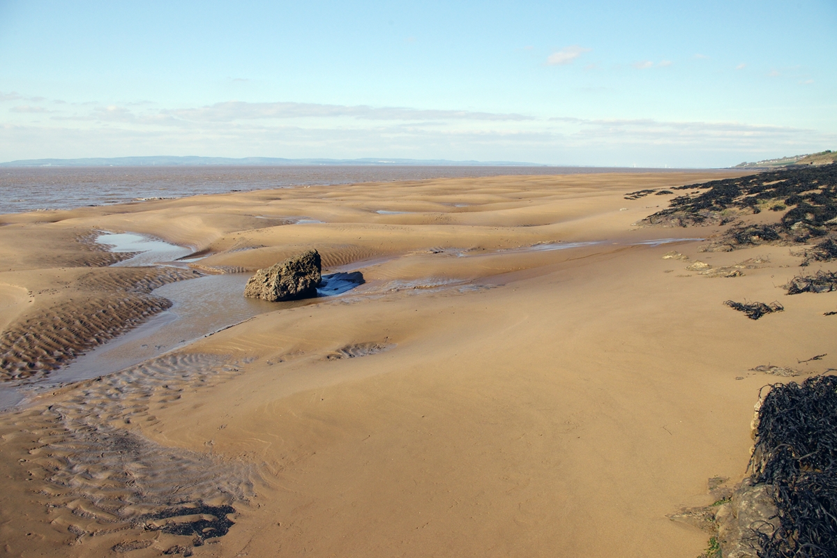 The shore at Margaret's Bay