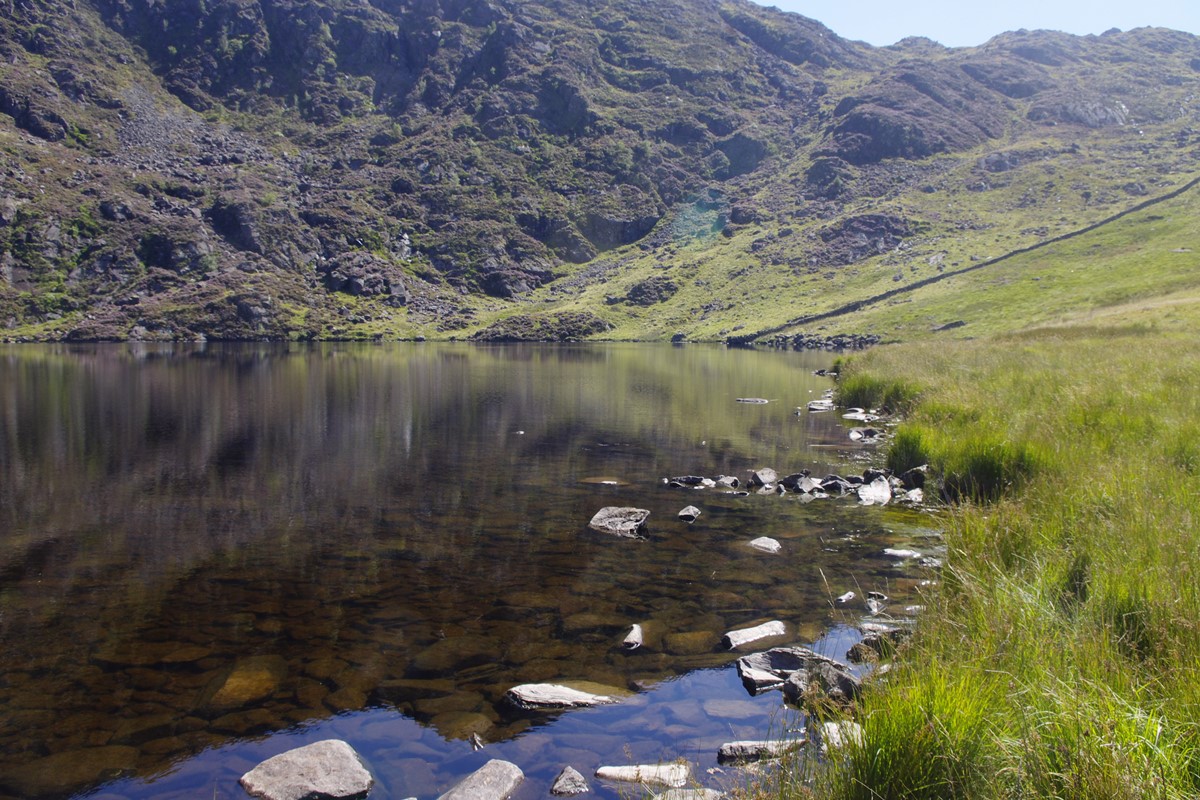 Shore of Llyn Llagi