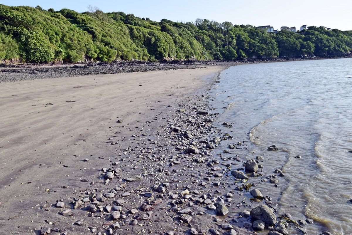 Tideline at Llanreath Beach