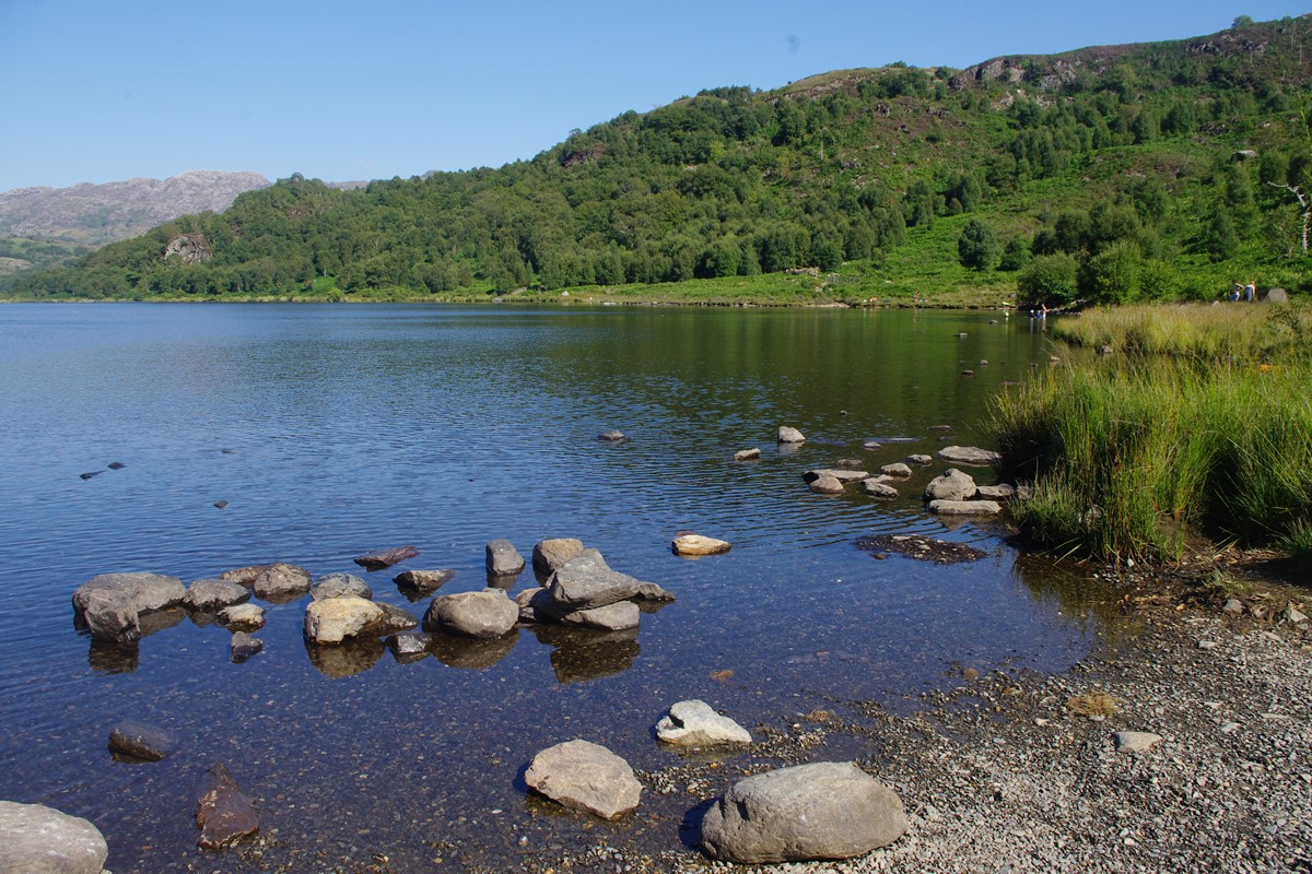 Shore of Llyn Dinas