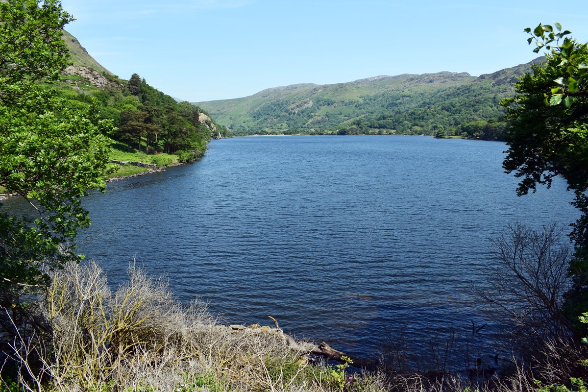 Llyn Gwynant from the south
