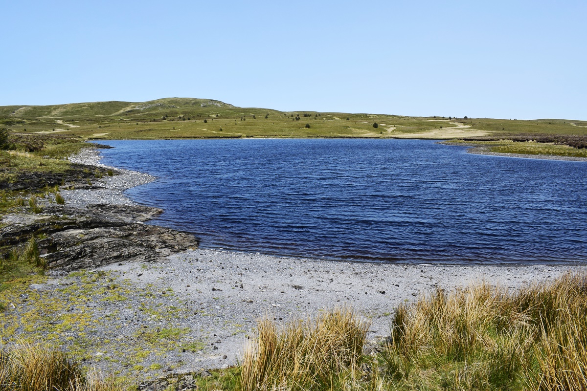Llyn Newydd