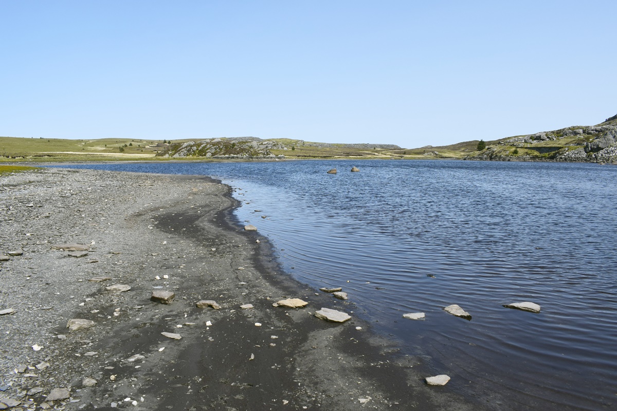 Llyn Newydd shore