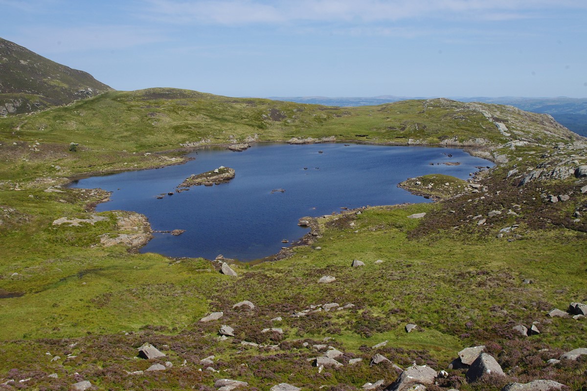 Llyn Y Foel