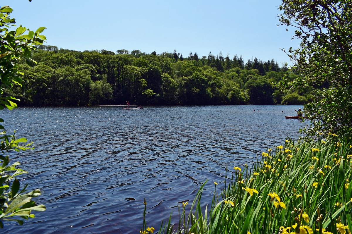 Llyn Mair