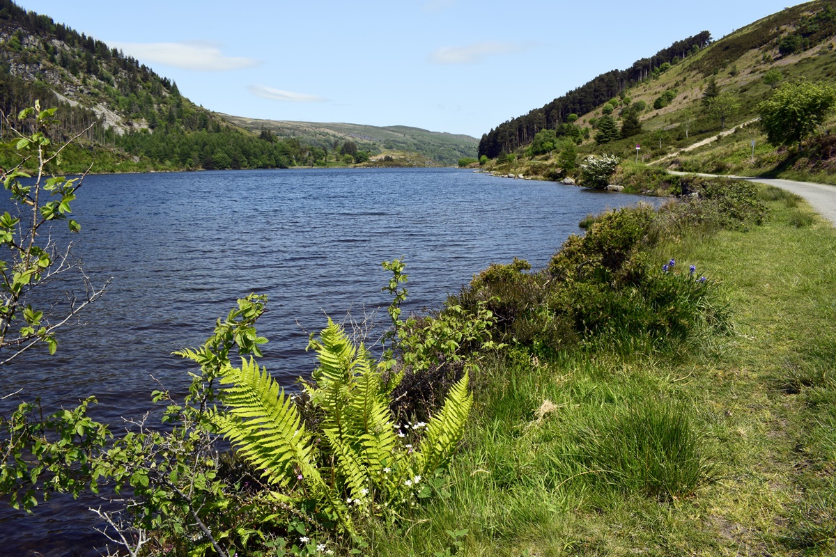 Looking north along Llyn Geirionydd