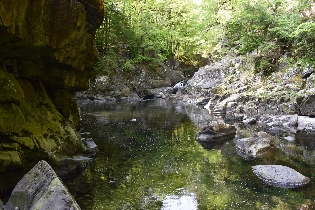 Afon Llugwy west of Miners Bridge