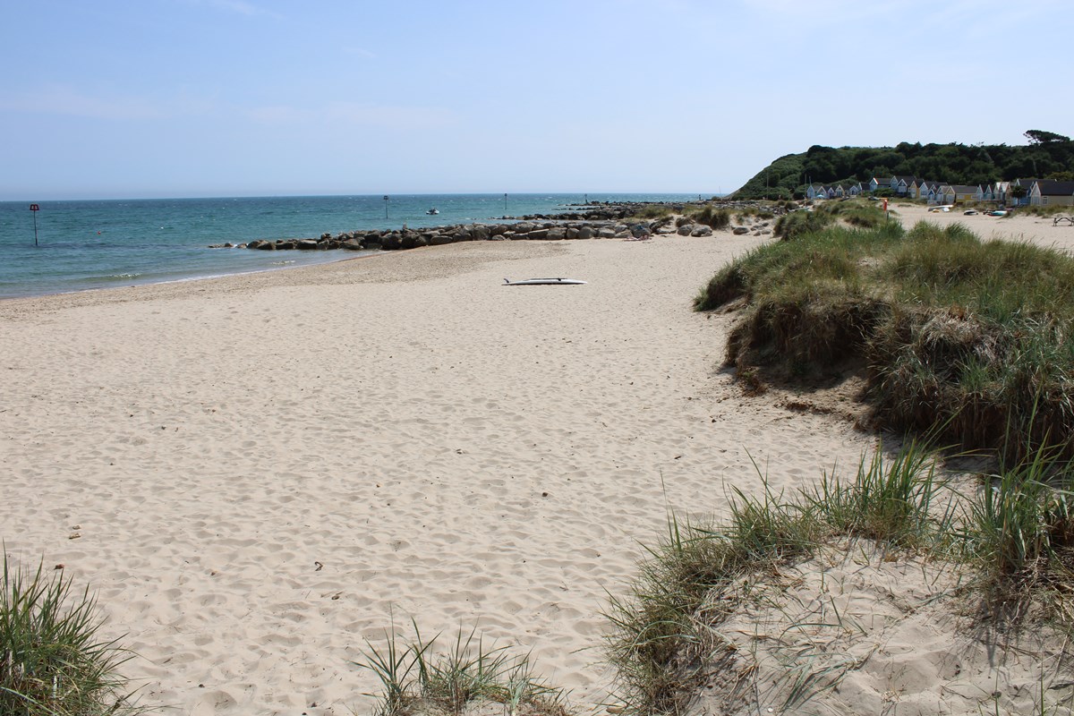 Looking south