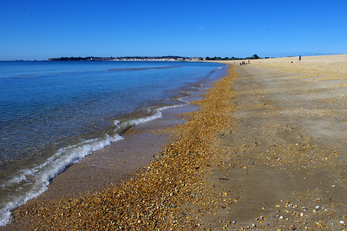 At the tideline