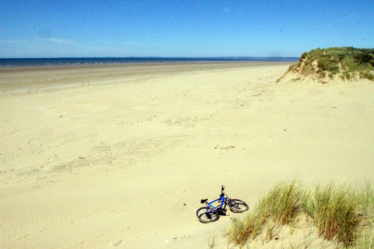 Otter shells and shipwrecks