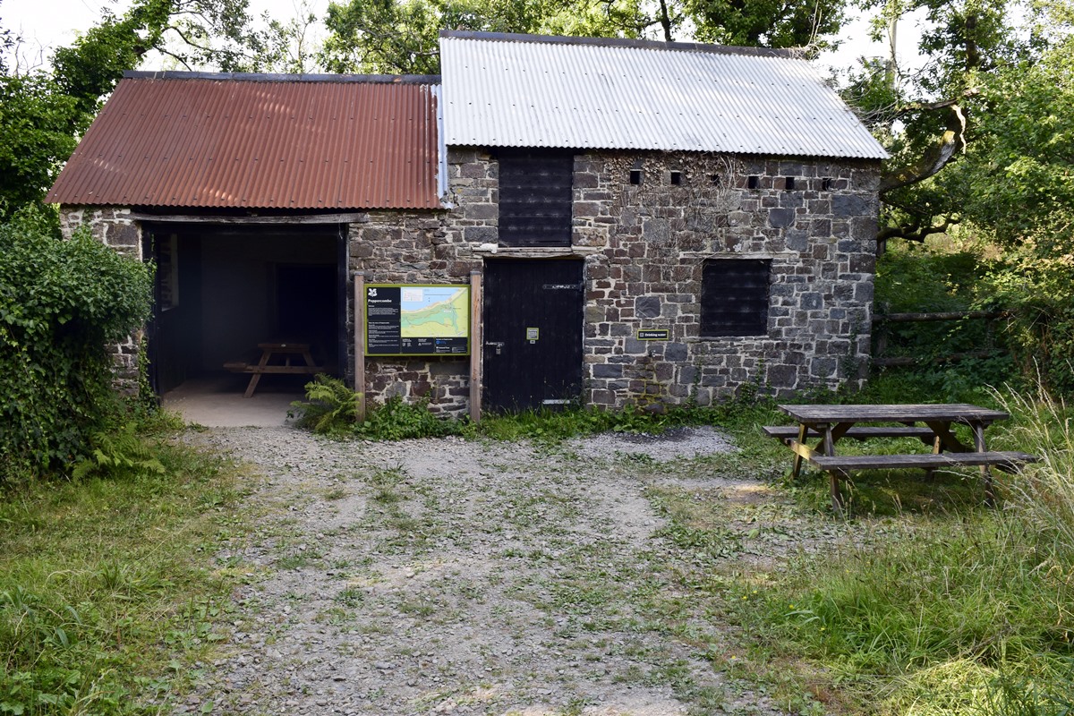 Picnic tables and drinking water