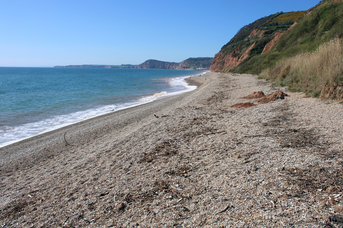 Salcombe Mouth