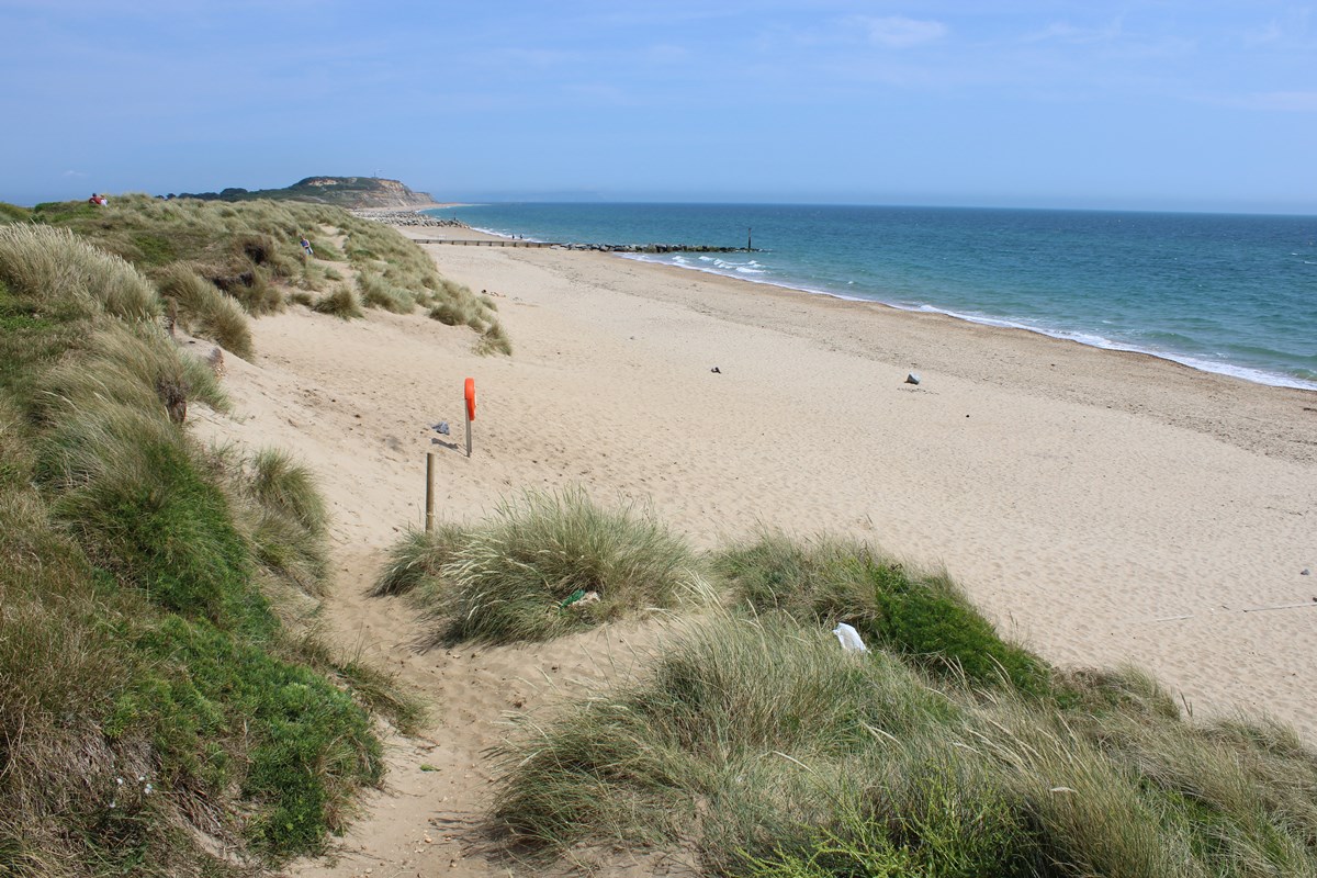 Solent Beach