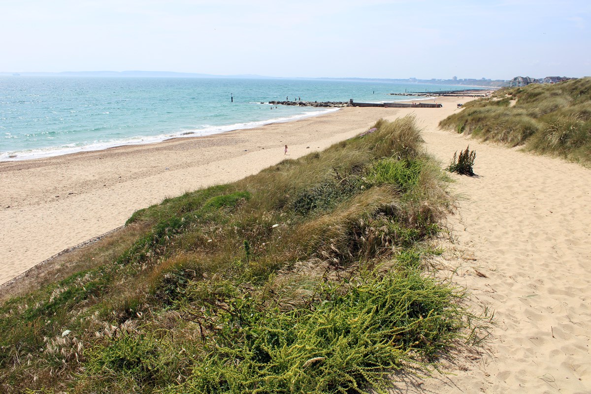 Towards Bournemouth