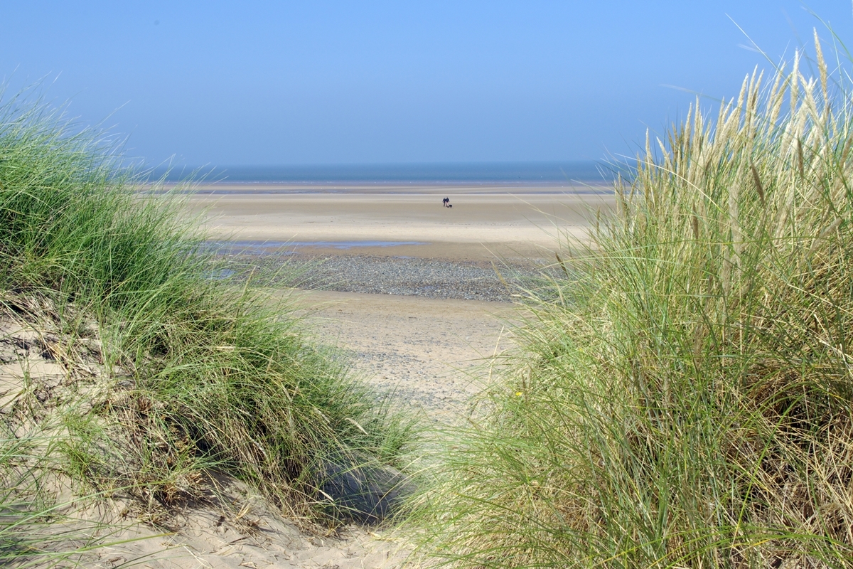 View through the dunes