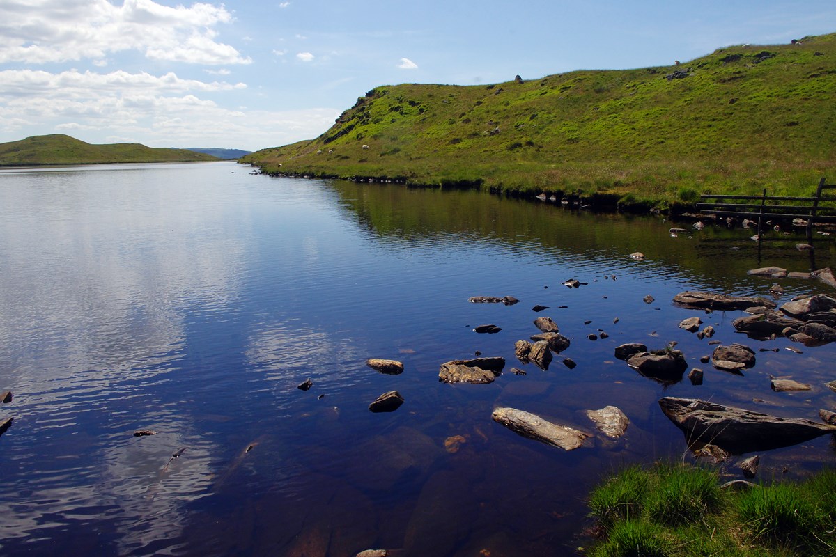 Llyn y Gorlan from the north