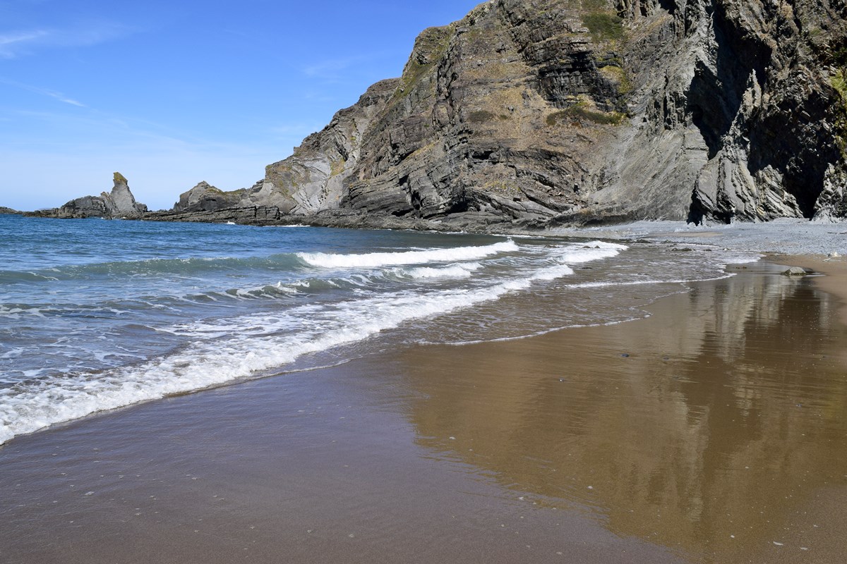 Tideline at Warren Beach